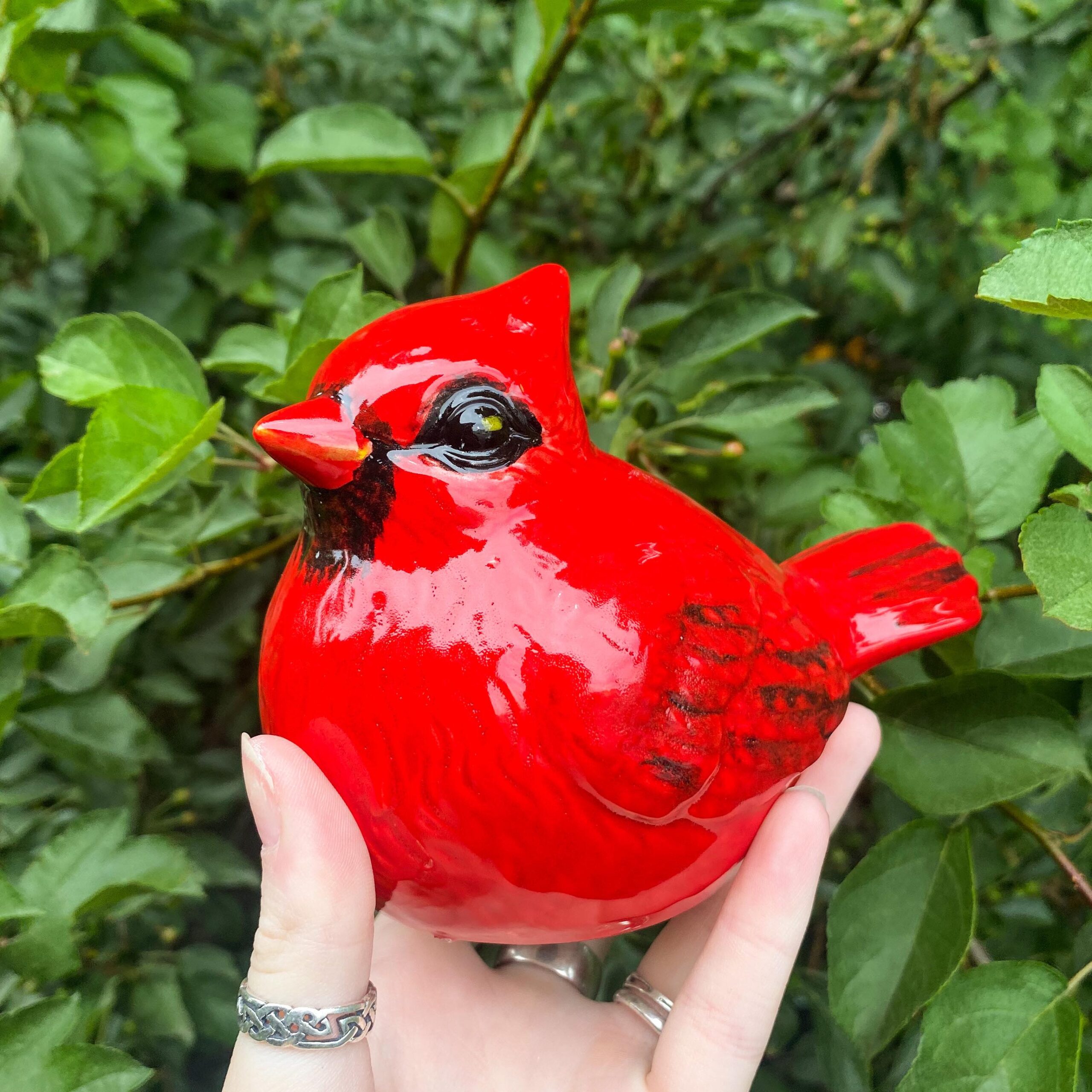A person holding a red bird in their hand.